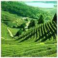 East India Tour Packages