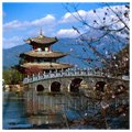 Honkong & Macau International Holiday Packages
