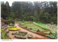 Ooty - Coonoor Package