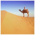 Rajasthan Tour Packages