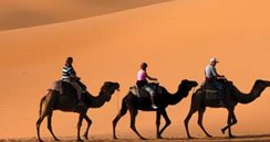 Rajasthan Tour Packages